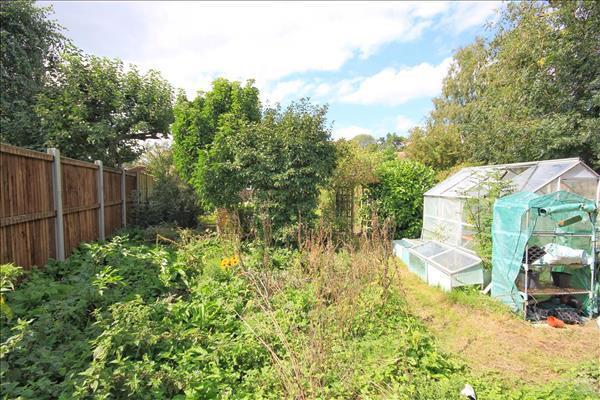 Vegetable Patch