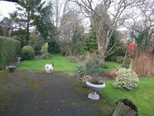 SIDE GARDEN