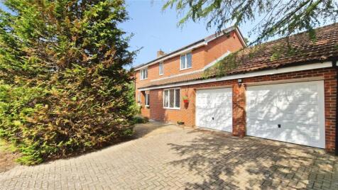Roughgrove Copse, Binfield, Bracknell, Berkshire, RG42