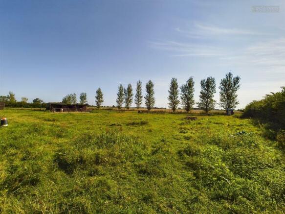 Grazing Land