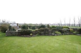 View of garden
