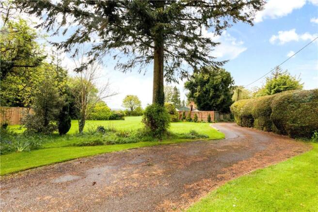 Sweeping Driveway
