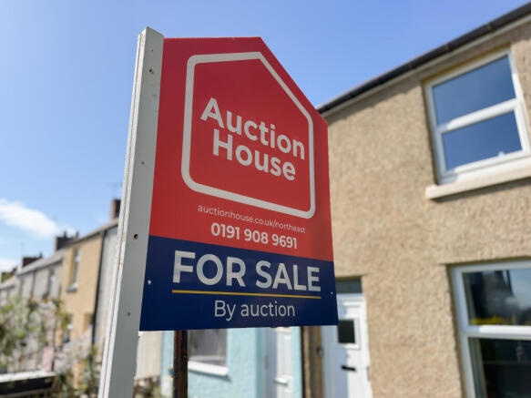 IMG 5538 T202604100750.jpg