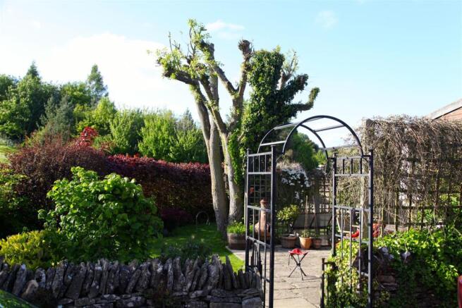 garden 2.jpg