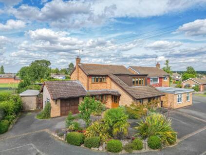 Foxs Covert, Fenny Drayton, CV13