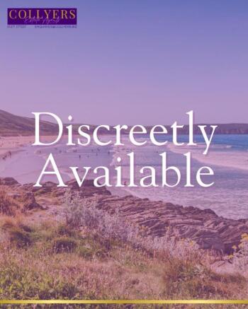 DISCREETLY AVAILABLE IMAGE.jpg
