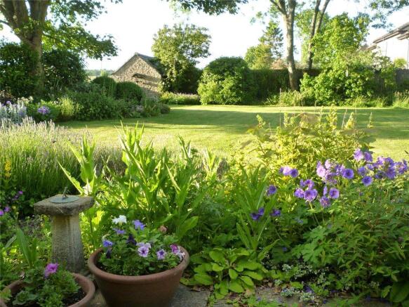 Garden in Summer