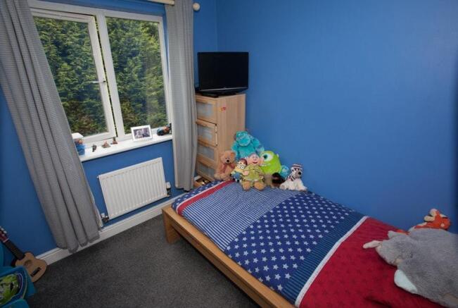 Photo 16