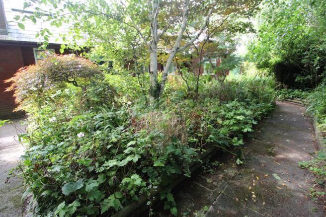 Pond Area