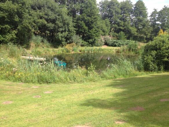 Photo 23