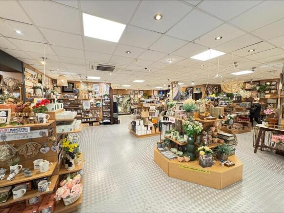 processed-97E0C333-7443-4DA5-9070-823D64C4F4FE.jpe