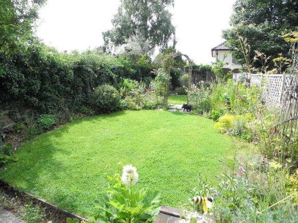 Photo 12