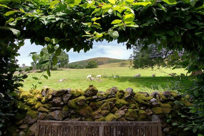 Garden & view