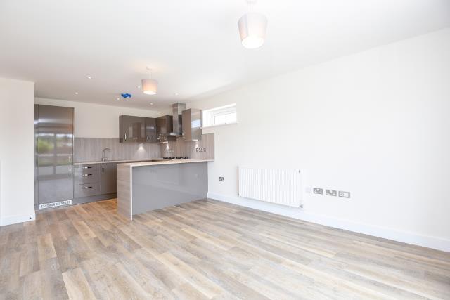 Reception Room / Kitchen