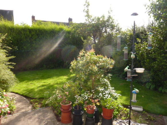 Further Rear Garden Image