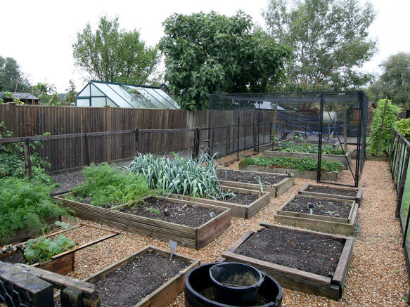 Vegetable Garden