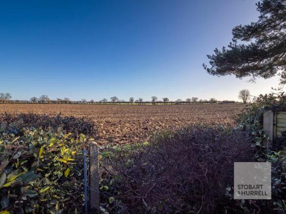 Field Views