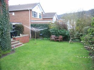 Back Garden