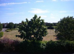 View To Front