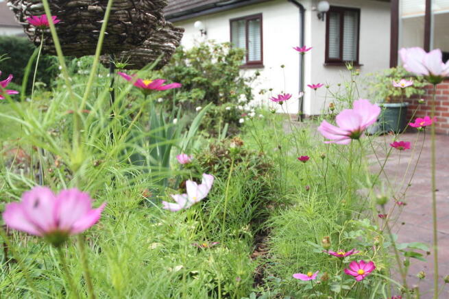 Photo 26