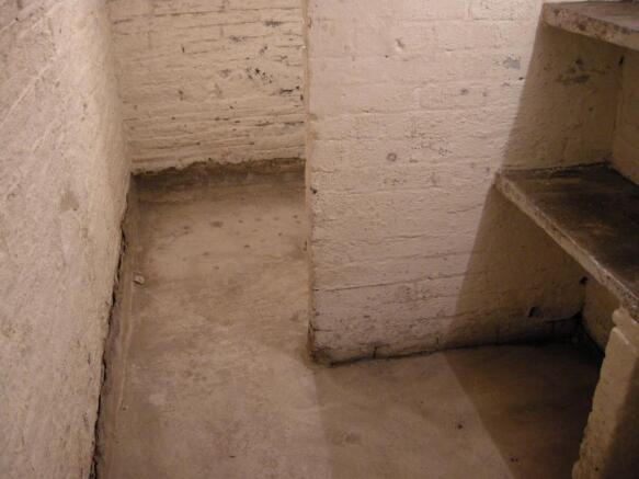 Photograph 6