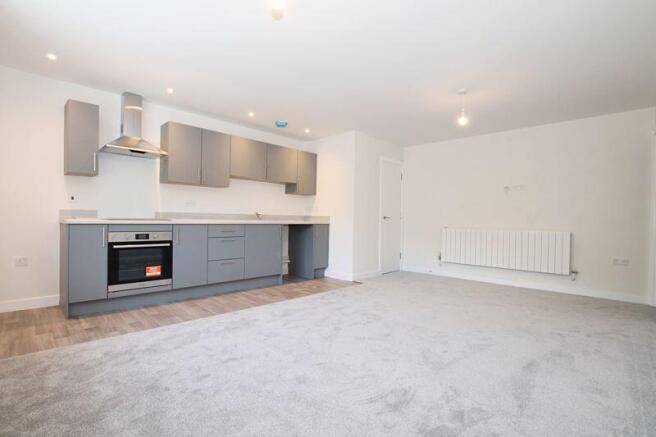 Kitchen/Lounge/Dining Room (2)