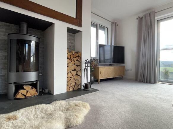 Wood Burning Stove