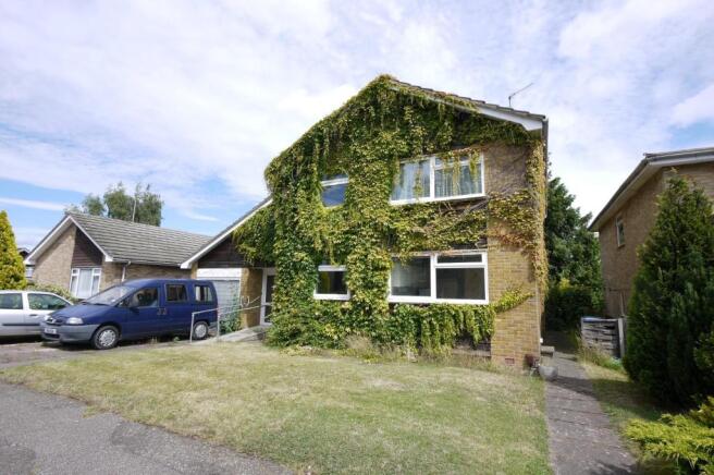 REAR OF THE HOUSE
