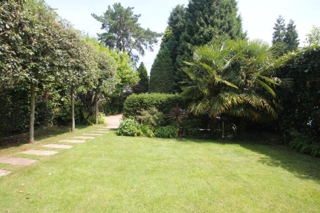 Photo 24