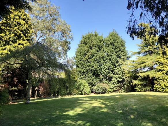 Rear garden .jpg