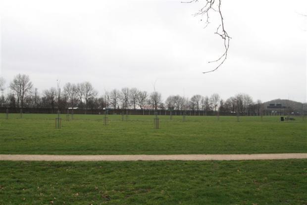 Photo 10