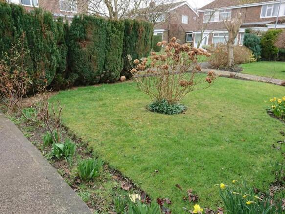 Front Garden