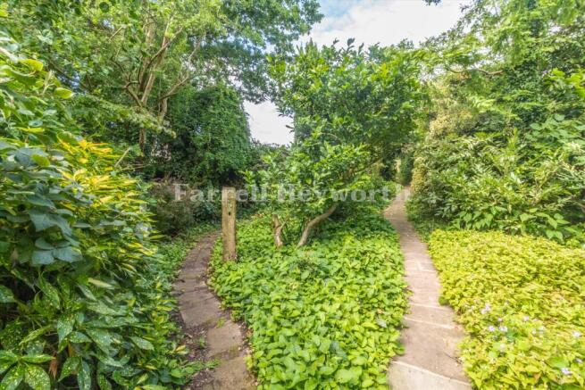 Garden image 5
