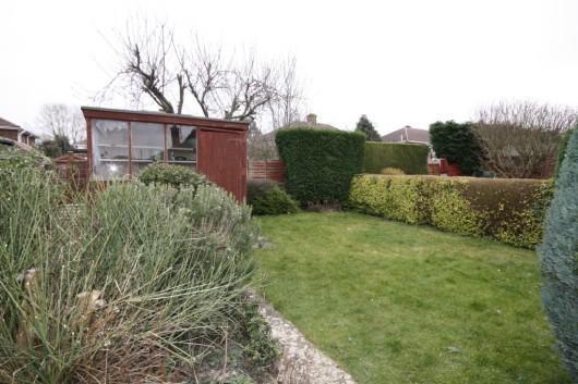 Garden (2)