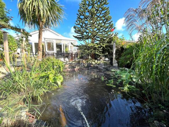 Fish Pond