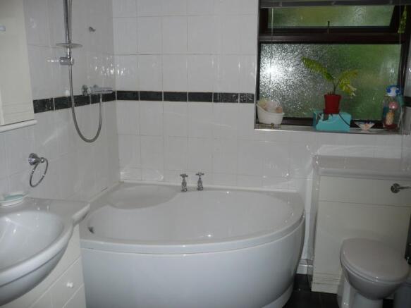 Image 12