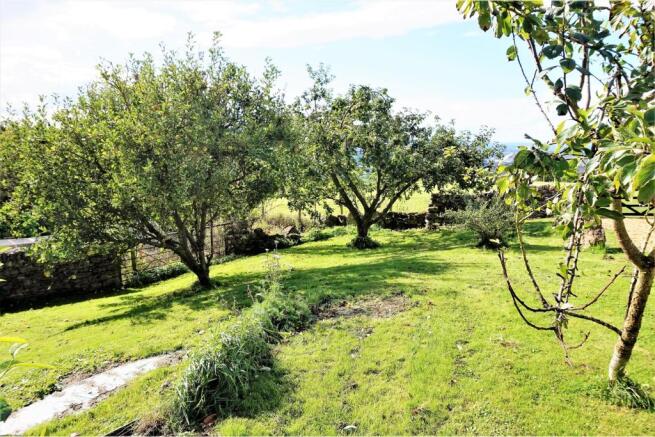Orchard