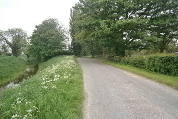 Photo 20