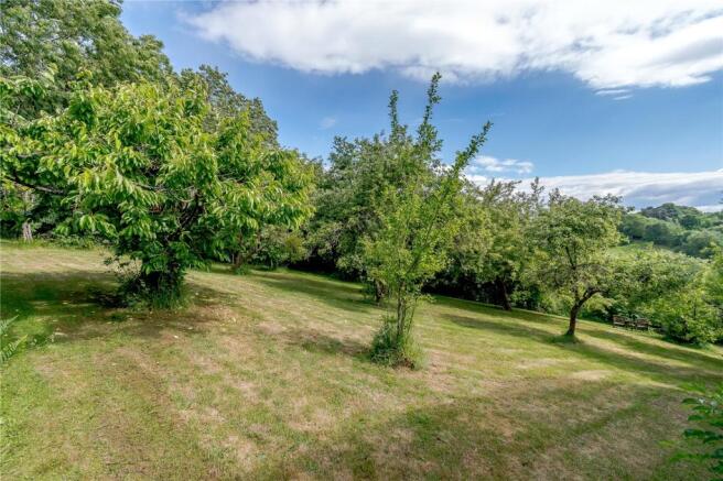 Orchard