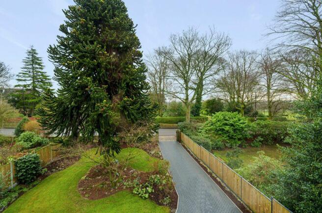 Garden at Front