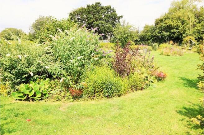 Mature Garden
