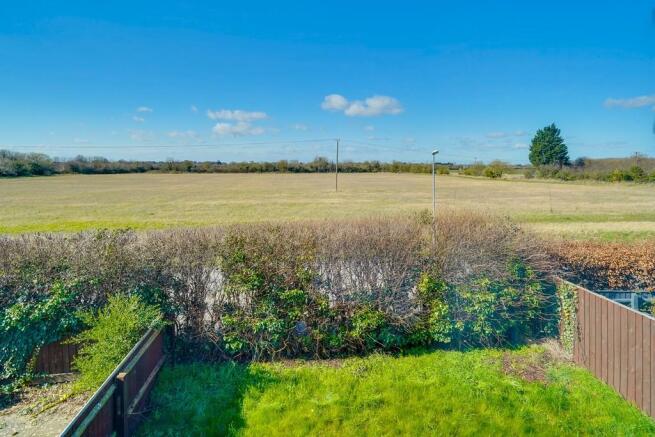 Field View