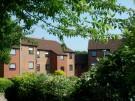 The Mote Development