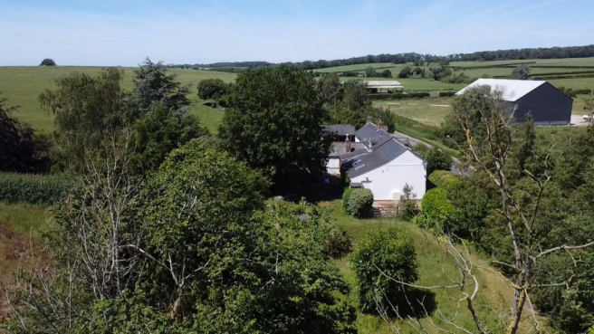 Side Garden Drone Picture