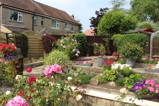 garden 3.JPG