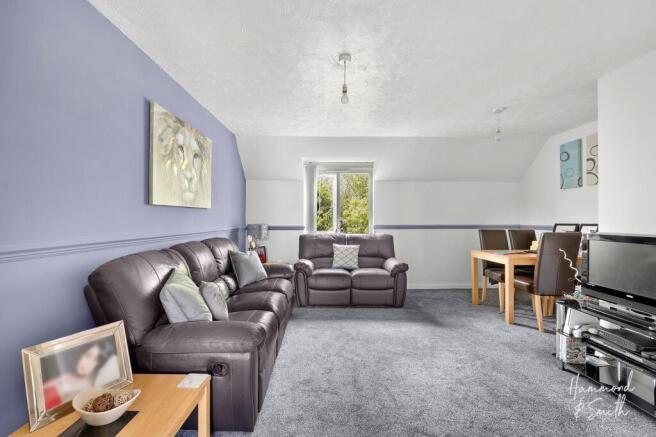 Living / Dining Room
