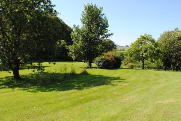 Rear Garden 2