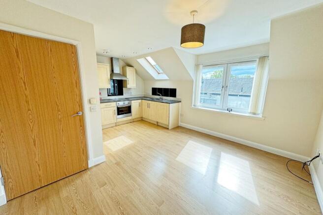 Open Plan Lounge / Dining / Kitchen