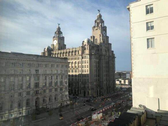 VIEW FROM LIVING ROOM.jpg
