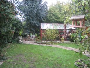 Rear Garden 1st part